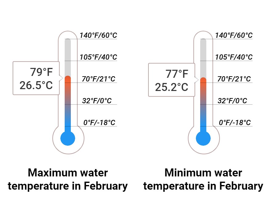 Average Sea temperature